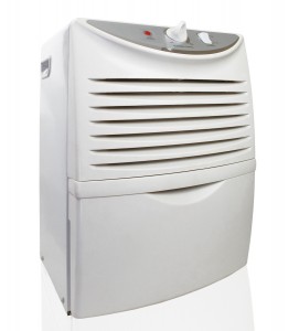 Dayton Dehumidifier