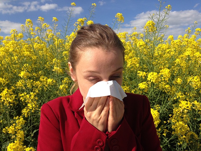 Reduce Allergens in Your Home