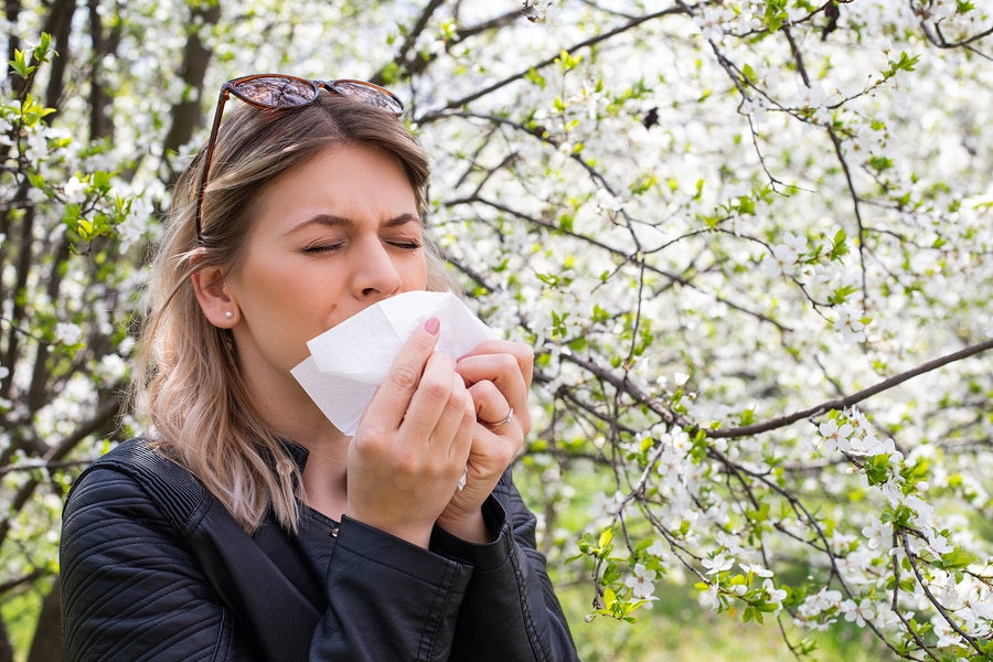 Spring Allergies and How to Avoid Them