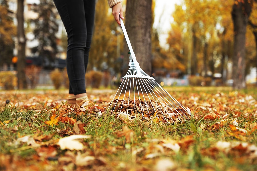 Protect Your HVAC System from Leaves