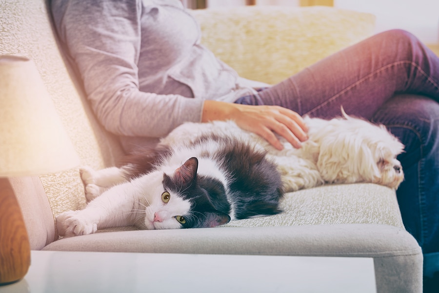 Why Your Furnace Filter Gets Dirty So Quickly